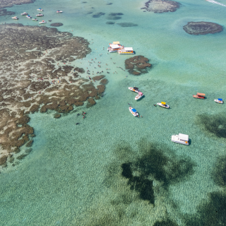 Costa dos Corais em Alagoas: guia completo da segunda maior barreira de corais