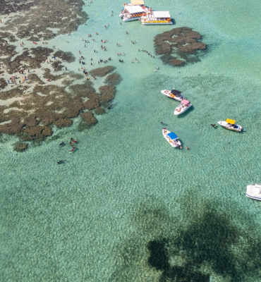 Costa dos Corais em Alagoas: guia completo da segunda maior barreira de corais