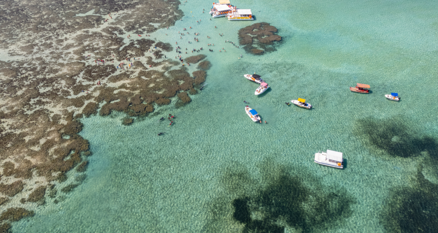 Costa dos Corais em Alagoas: guia completo da segunda maior barreira de corais