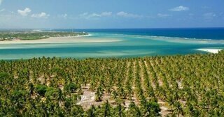 Um passeio inesquecível: Conheça as belezas da praia do Gunga